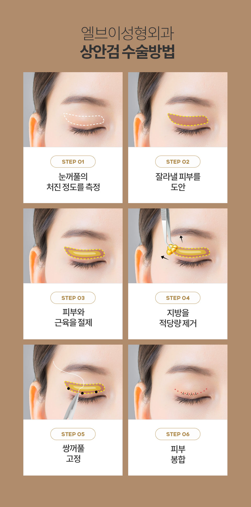 ��Ȱ˼���ȸ���Ⱓ