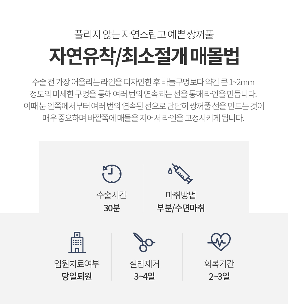 자연유착 최소절개 매몰법