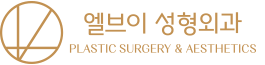 엘브이 성형외과 로고 엘브이 성형외과